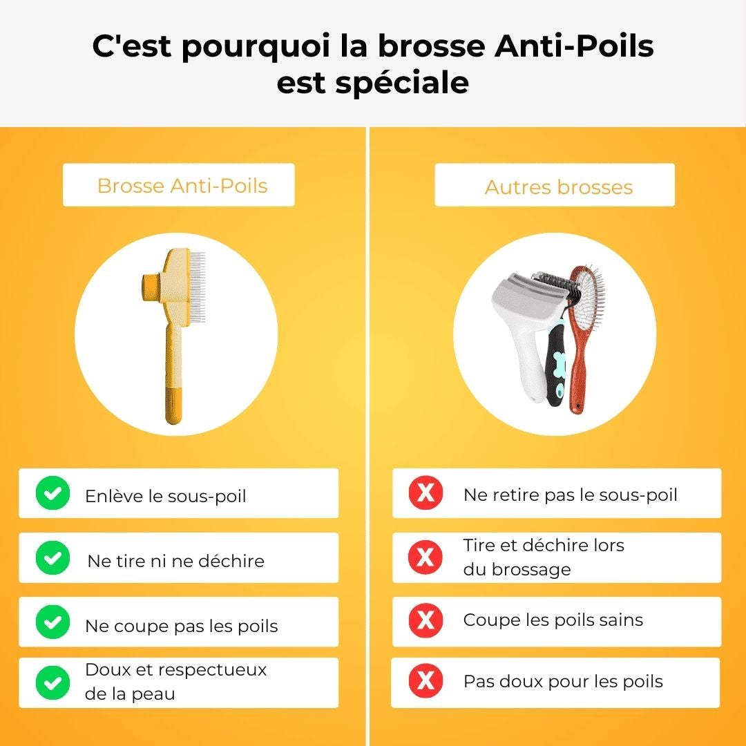 Brosse Anti-Poils Premium – Nettoyage Rapide & Doux pour Chats