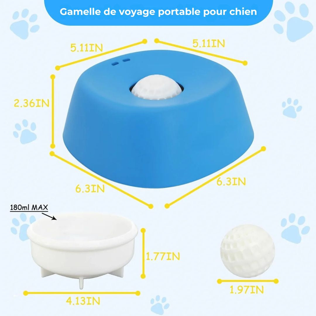 Gamelle anti-glouton pour chien – Des repas plus calmes, sans dégâts