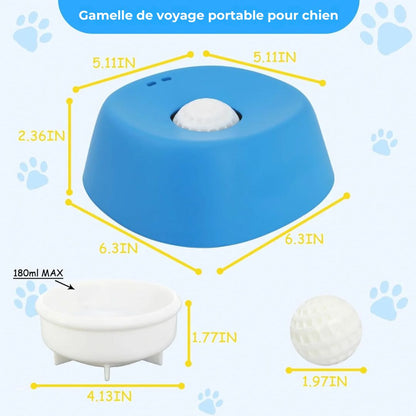 Gamelle anti-glouton pour chien – Des repas plus calmes, sans dégâts