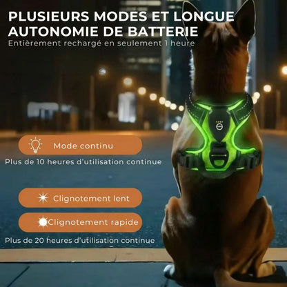 GlowGuard – Sécurité et visibilité pour les sorties nocturnes