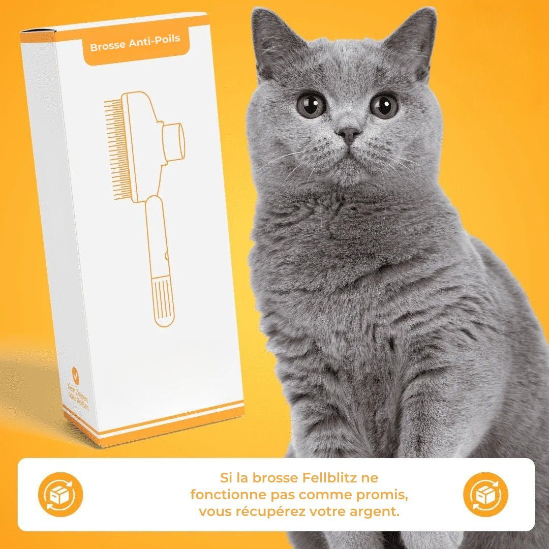 Brosse Anti-Poils Premium – Nettoyage Rapide & Doux pour Chats