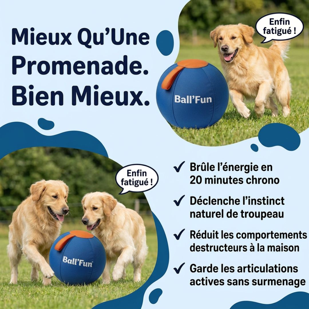 Ball'Fun – Amusement et exercice pour chiens heureux