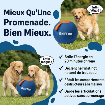 Ball'Fun – Amusement et exercice pour chiens heureux