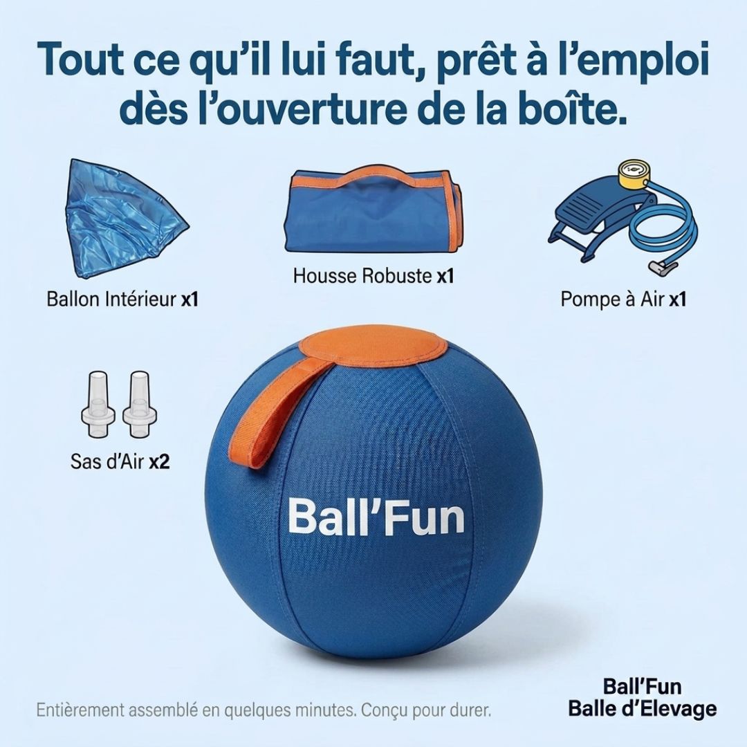 Ball'Fun – Amusement et exercice pour chiens heureux