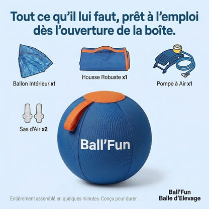 Ball'Fun – Amusement et exercice pour chiens heureux