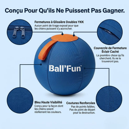 Ball'Fun – Amusement et exercice pour chiens heureux