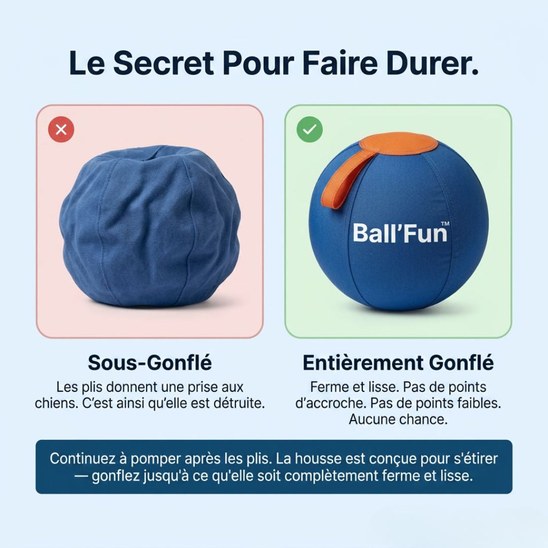 Ball'Fun – Amusement et exercice pour chiens heureux