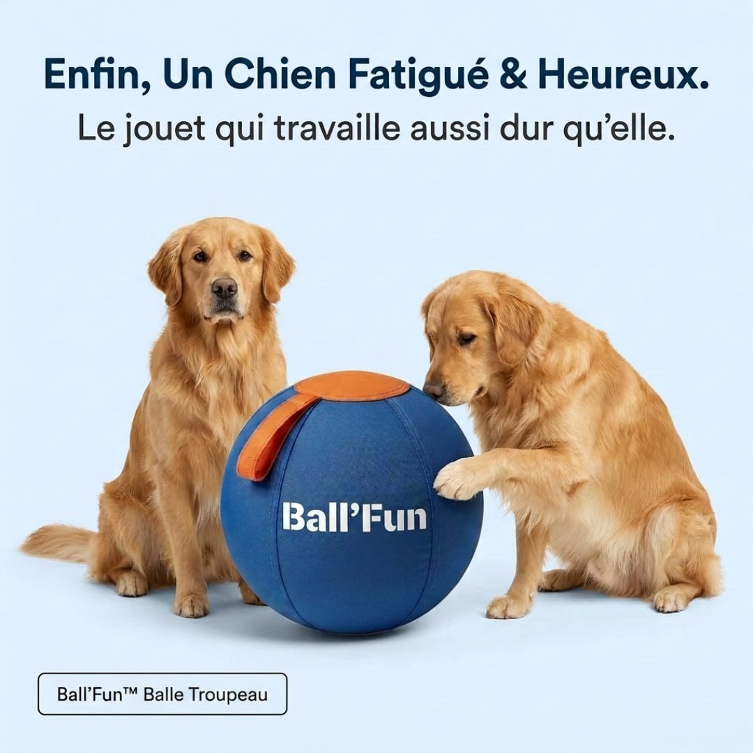 Ball'Fun – Amusement et exercice pour chiens heureux