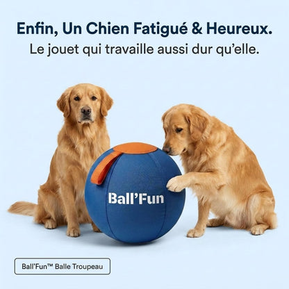 Ball'Fun – Amusement et exercice pour chiens heureux