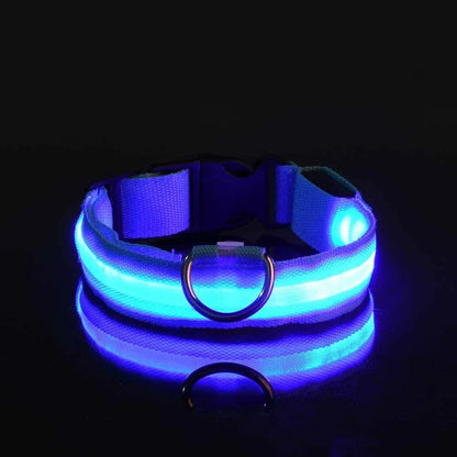 Collier LED pour chien – Assurez la sécurité de votre compagnon