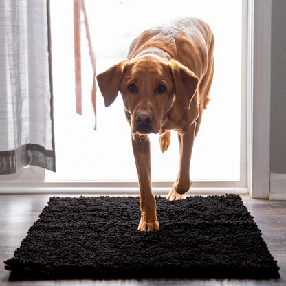 Tapis Absorbant Premium – Propreté garantie pour votre intérieur