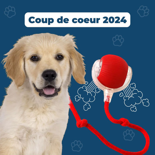 Power-Ball – La Balle Interactive Inarrêtable
