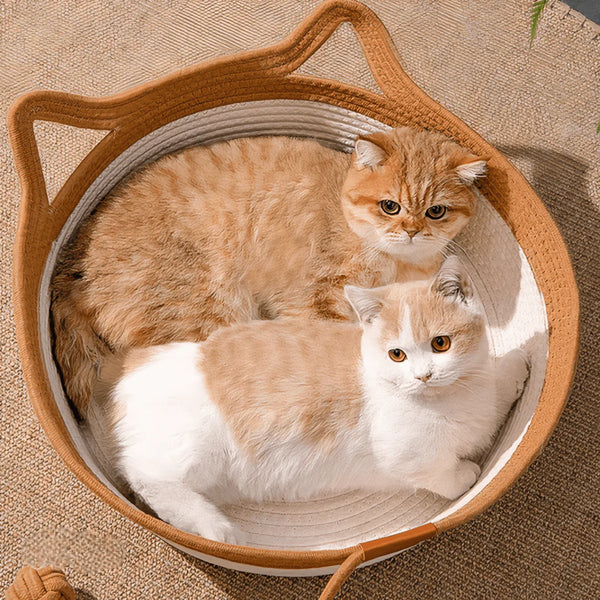Panier Cocoon – Offrez-lui un nid douillet, naturel et rassurant