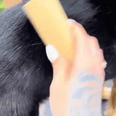 Brosse FluffCare™ – Retirez les poils morts, sans douleur
