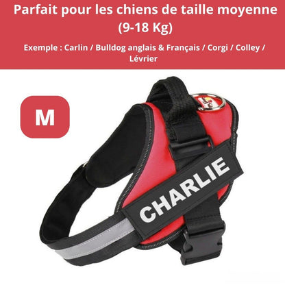 Harnais ComfortPro – Offrez à votre chien un confort inégalé !
