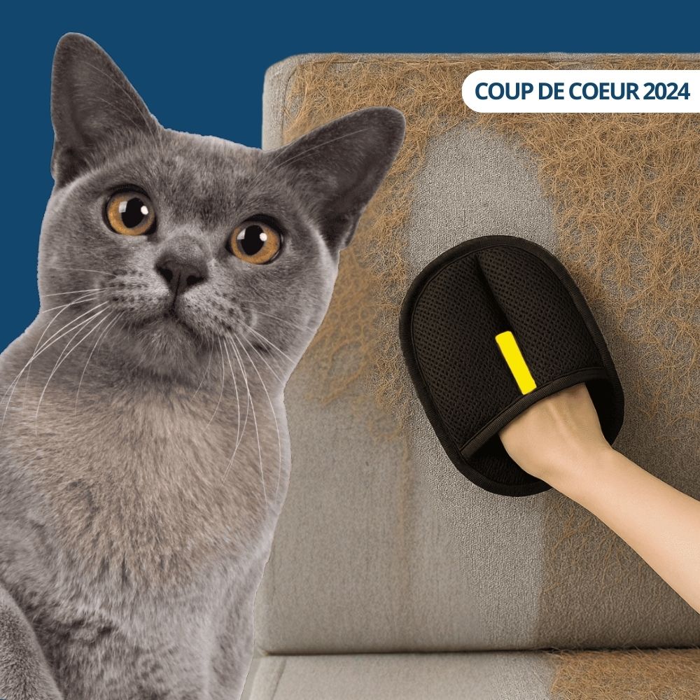 Gant Attrape'Poils – Poils disparus en un geste