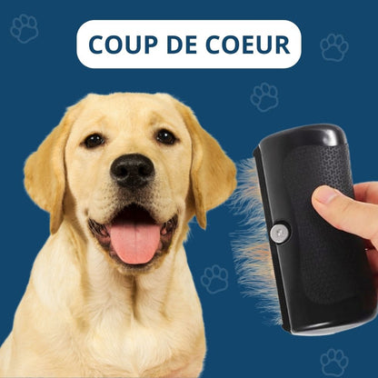 MagicBrush - La Brosse Miracle du Pelage