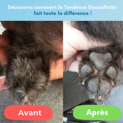 Tondeuse DoucePatte – Des coussinets nets, sans stress