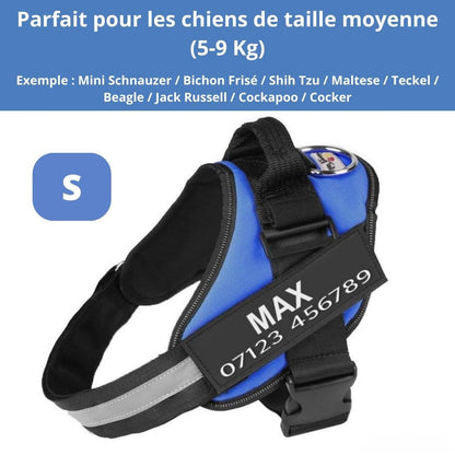 Harnais ComfortPro – Offrez à votre chien un confort inégalé !