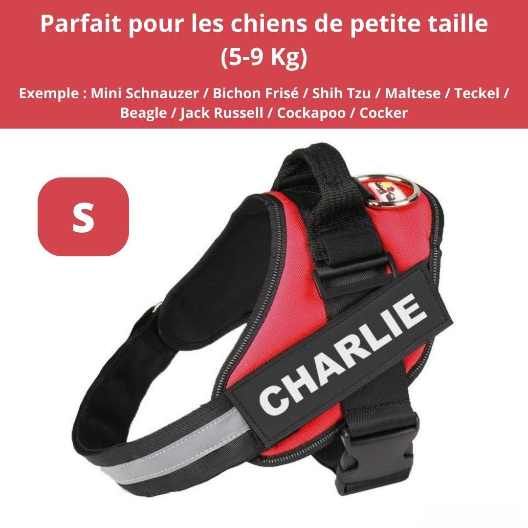 Harnais ComfortPro – Offrez à votre chien un confort inégalé !