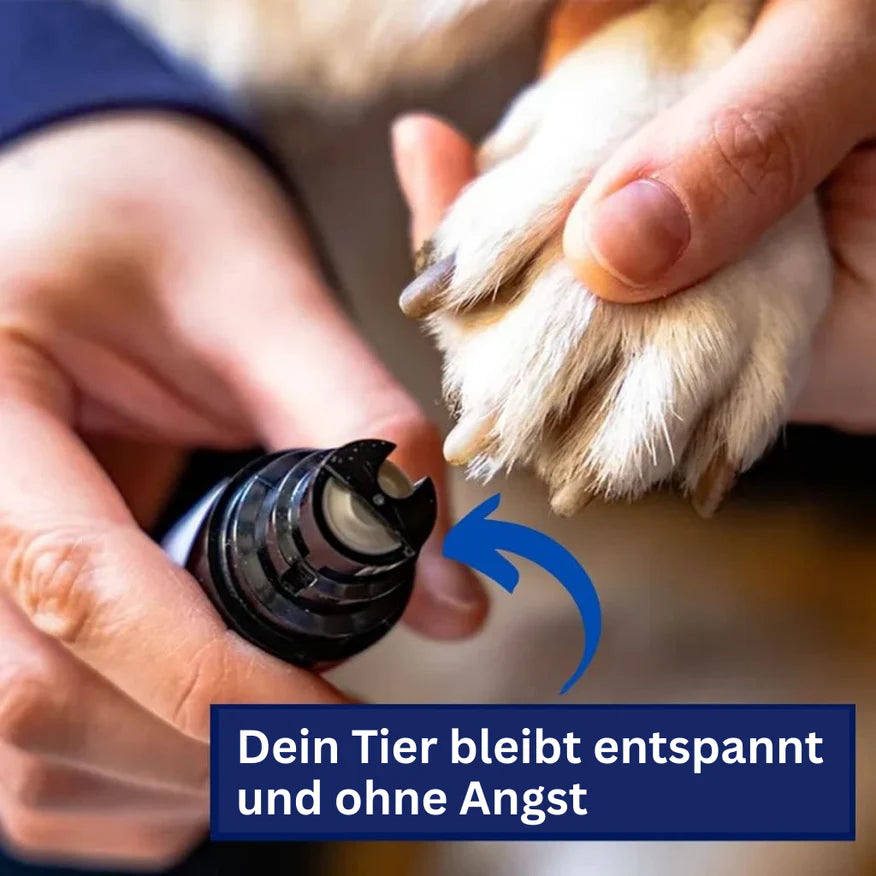 Krallen-Schleifer für Hunde – Sanfte Pflege, stressfreies Ergebnis