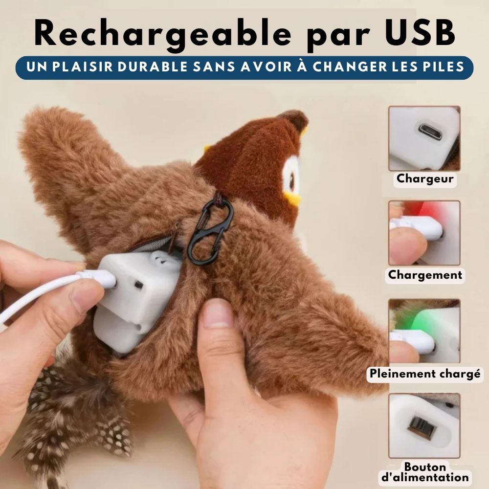 HappyBird – Stimulation pour votre compagnon