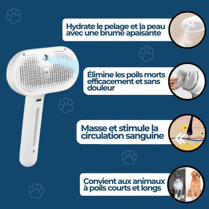 HydroBrush - Dites adieu aux poils morts et à la peau sèche