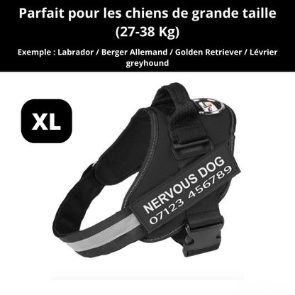 Harnais ComfortPro – Offrez à votre chien un confort inégalé !