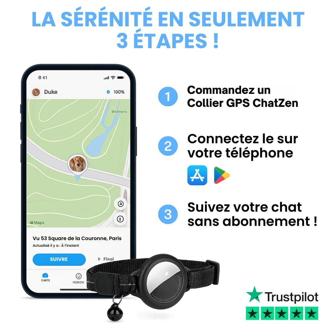 Collier GPS ChatZen – Gardez un œil bienveillant sur votre compagnon