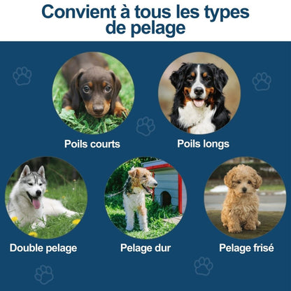 MagicBrush - La Brosse Miracle du Pelage