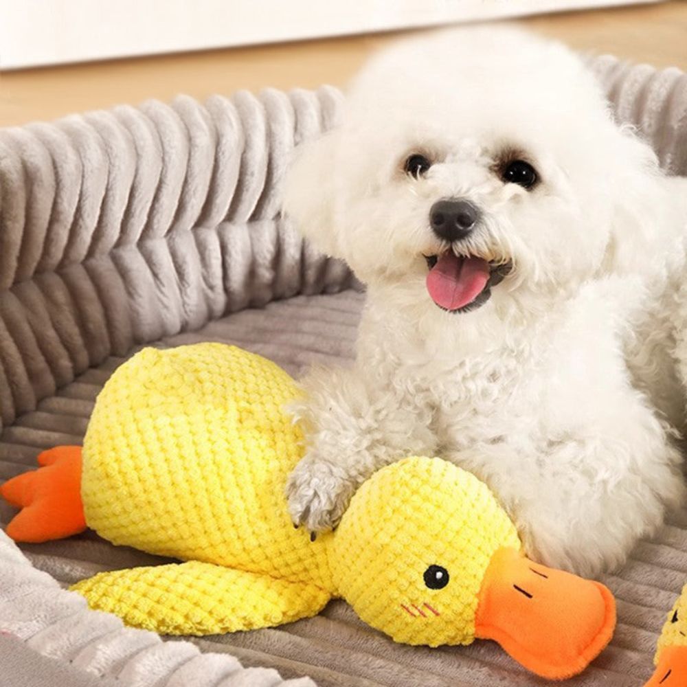 Calming Duck - Le Canard Anti-Stress
