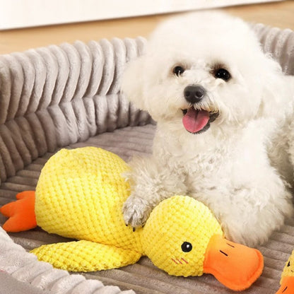 Calming Duck - Le Canard Anti-Stress