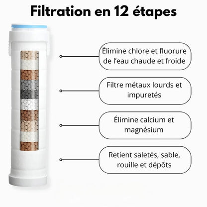 Pommeau de douche Hydro-Pure