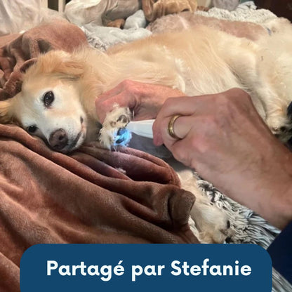 Tondeuse DoucePatte – Des coussinets nets, sans stress