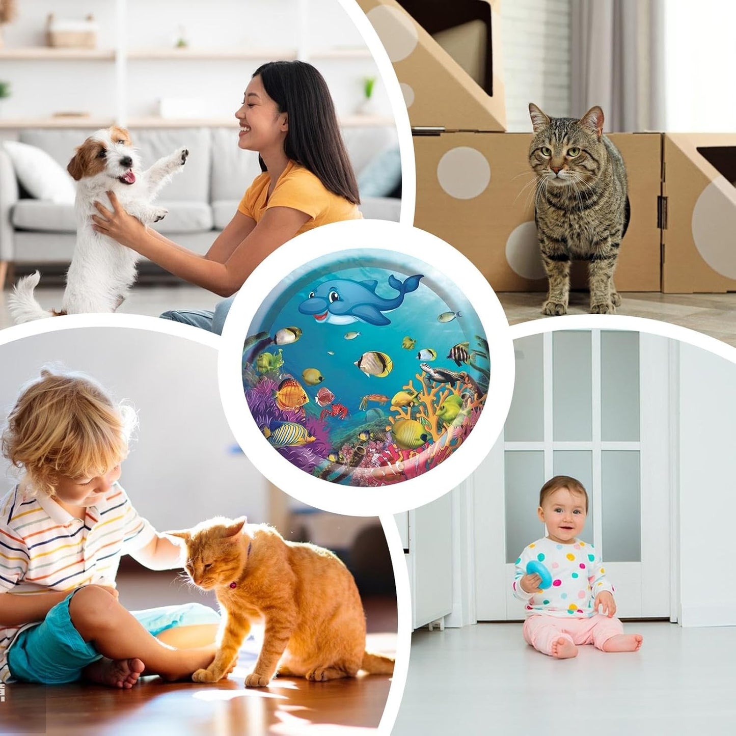 CoolPet Pool – Offrez à votre compagnon une pause fraîcheur