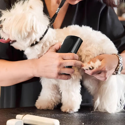 MagicBrush - La Brosse Miracle du Pelage