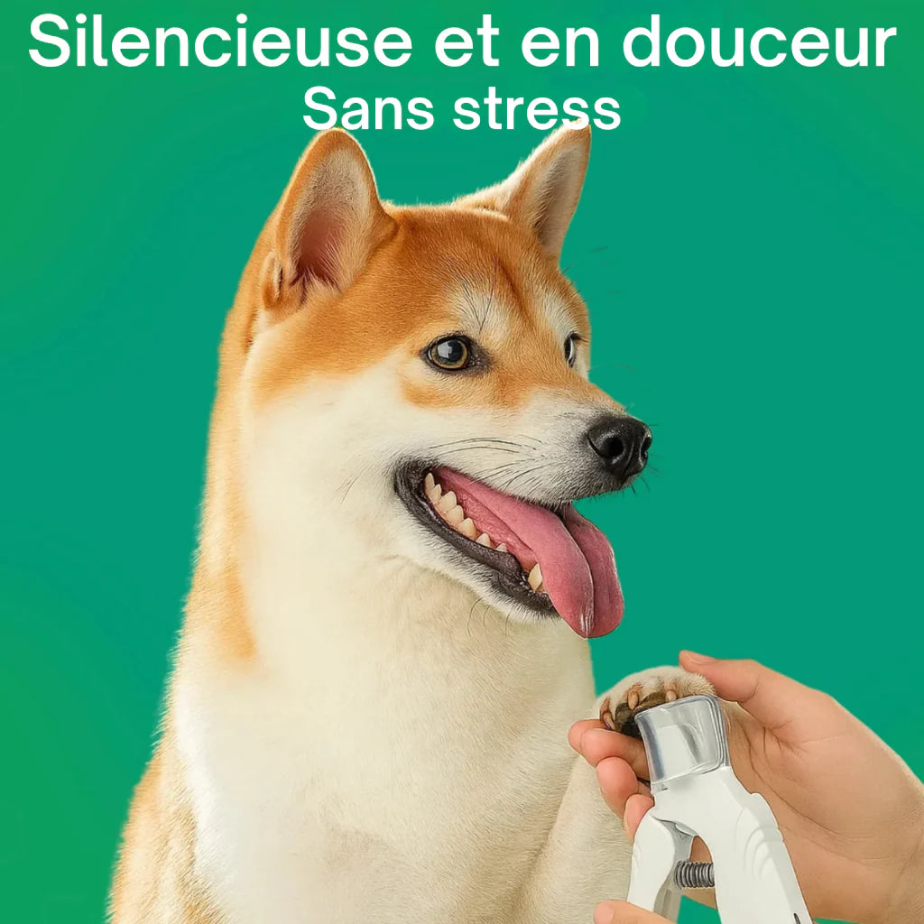 PetCare 2-en-1 – Taillez & limez les griffes sans stress