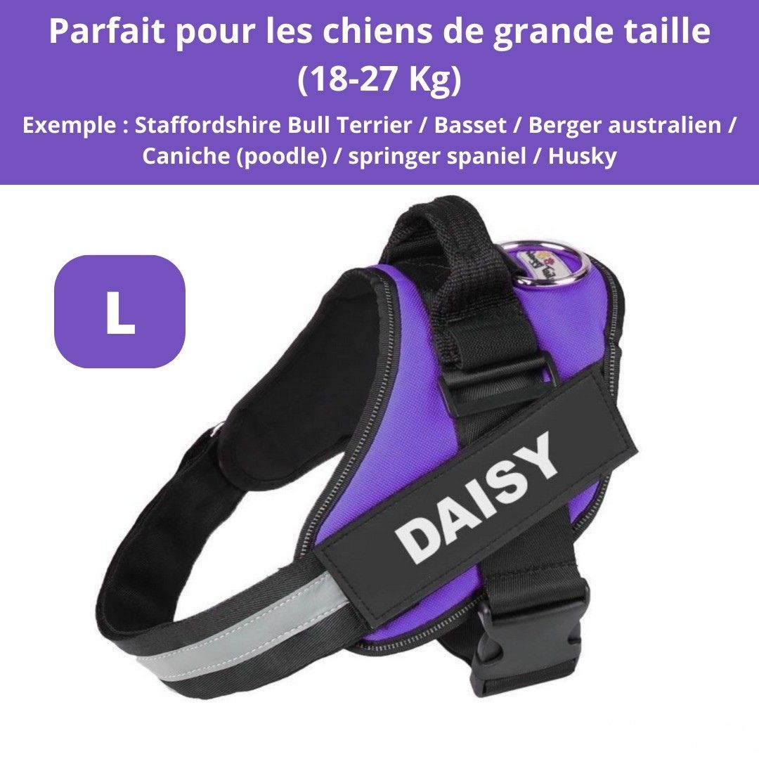 Harnais ComfortPro – Offrez à votre chien un confort inégalé !