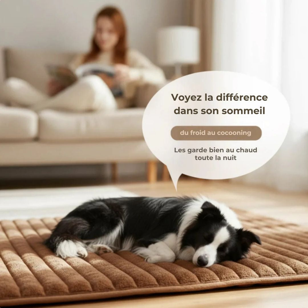 Tapis CocoonWarm – Chaleur naturelle pour chien & chat
