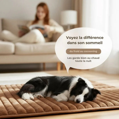 Tapis CocoonWarm – Chaleur naturelle pour chien & chat