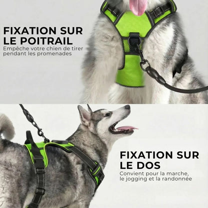 GlowGuard – Sécurité et visibilité pour les sorties nocturnes