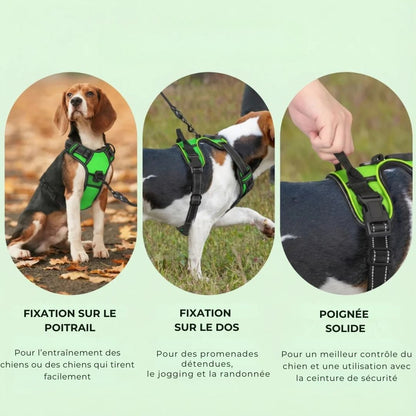 GlowGuard – Sécurité et visibilité pour les sorties nocturnes