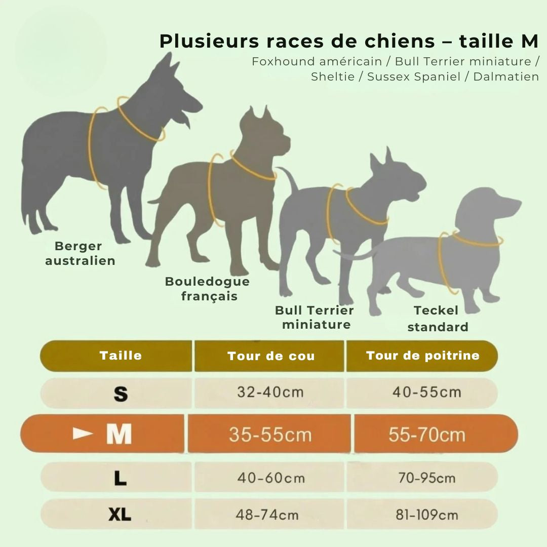 GlowGuard – Sécurité et visibilité pour les sorties nocturnes