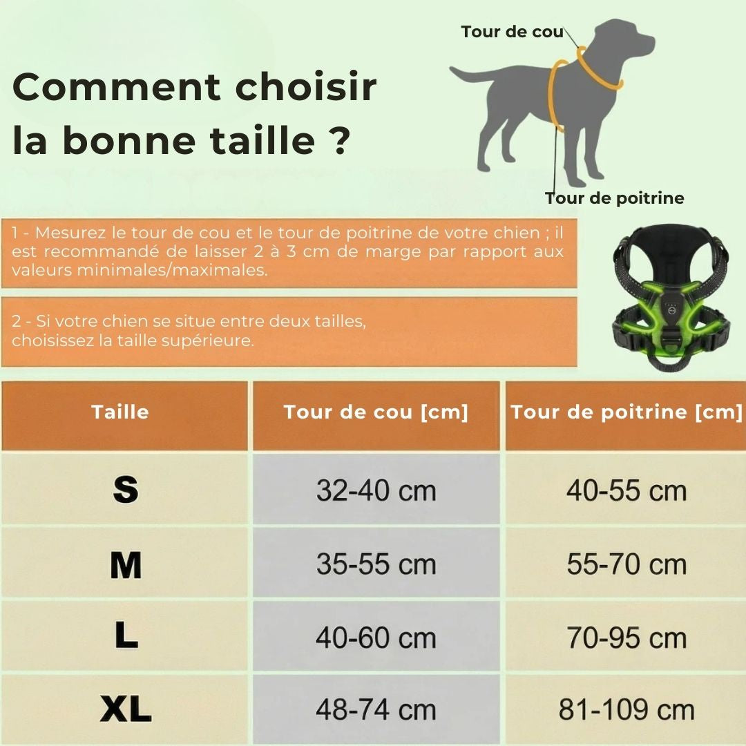 GlowGuard – Sécurité et visibilité pour les sorties nocturnes