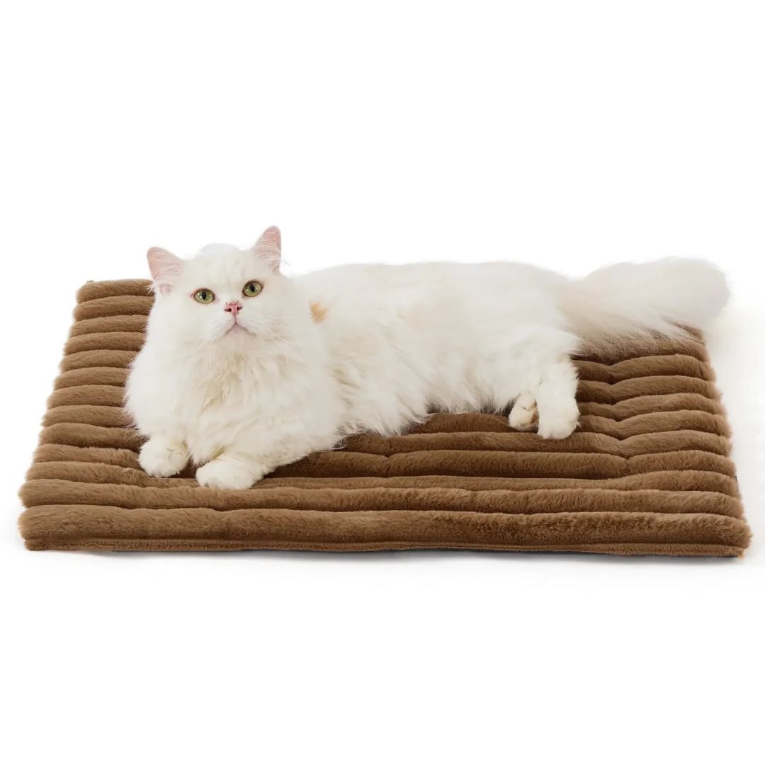 Tapis CocoonWarm – Chaleur naturelle pour chien & chat