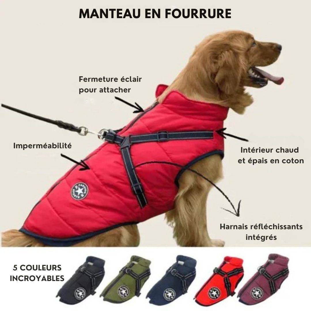 Manteau Hiver NordPaws – Protège ton chien avec style