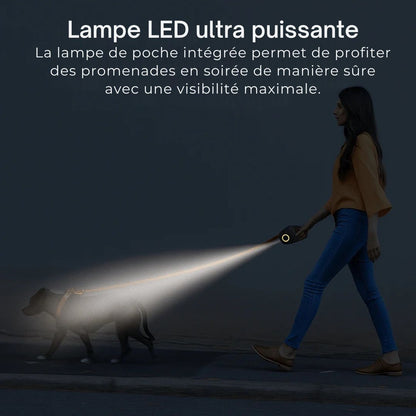 Laisse LED Automatique pour chien – Sécurisez vos promenades de nuit avec style