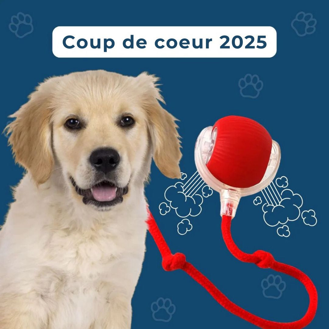 Power-Ball – La Balle Interactive Inarrêtable