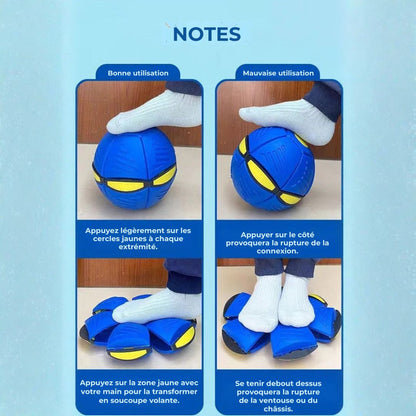 Le Ball Frisbee – Jouez, bougez et renforcez-vous