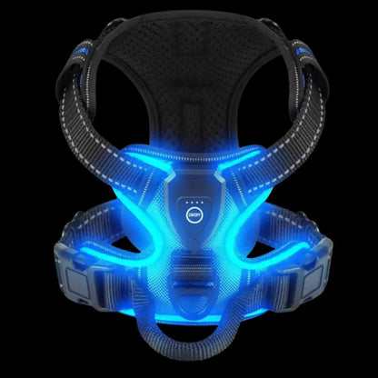 GlowGuard – Sécurité et visibilité pour les sorties nocturnes